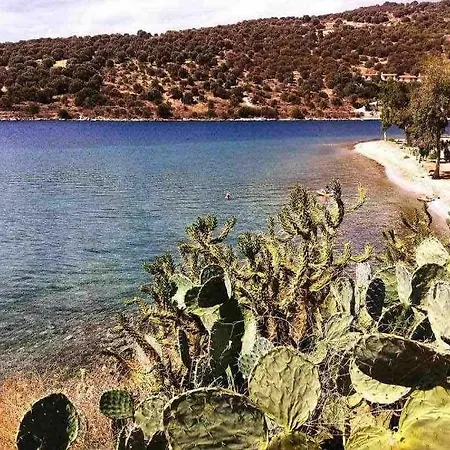 By The Beach, Evia Island Boufalo